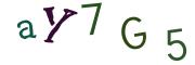 Image CAPTCHA