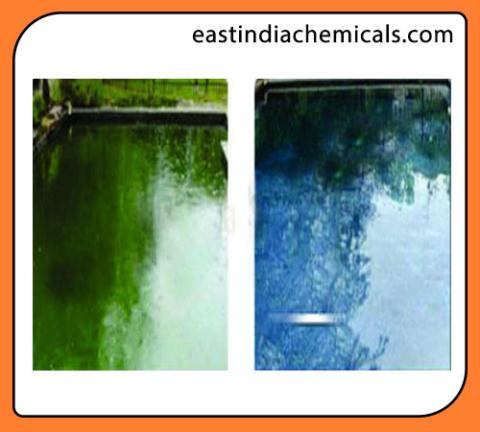 Algaecide