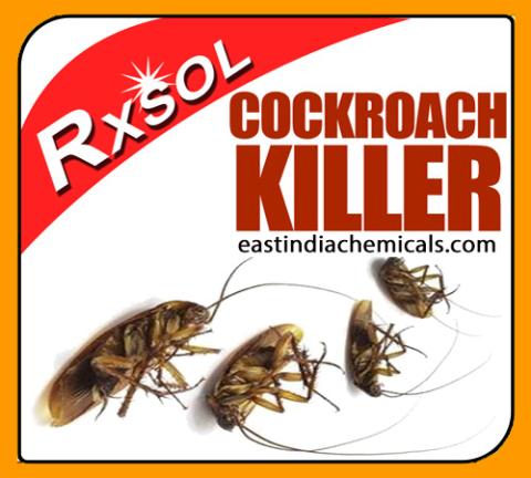 Cockroach Killer 4 Ltrs