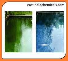 Algaecide