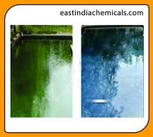 All In One Algaecide