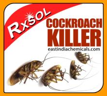 Cockroach Killer 4 Ltrs