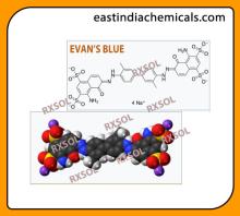 EVAN'S BLUE