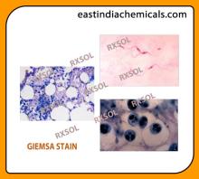 GIEMSA STAIN