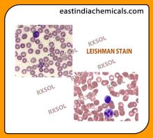 LEISHMAN STAIN