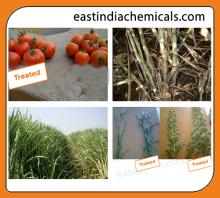 AGRISOL B 15