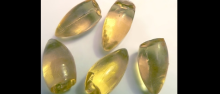 Glycerine Propanetriol supplier Distributor Manufacturer in kolkata Taminadu india