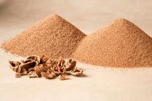 walnut shell wholesale distributor supplier in kolkata port marine chemical