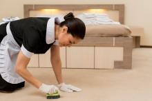 Carpet Shampoo Supplier, Manufacturer, and Distributor in Kolkata, India