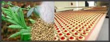 Guar Gum Powder  supplier Distributor Manufacturer in Kolkata West Bengal  india