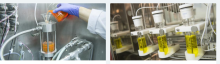 Anti Freeze Liquid  supplier Distributor Manufacturer in Kolkata West Bengal  india