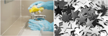 Brightener Supplier, Manufacturer, and Distributor in Kolkata, India: East India Chemicals