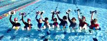 Swimming Pool Chemicals supplier  in kolkata west bengal india