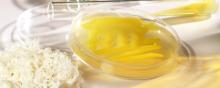 Oilfield Grade  Xanthan Gum Supplier Distributor Manufacturer in Kolkata West Bengal  india