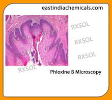 PHLOXIN B FOR MICROSCOPY
